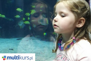 Blog sposoby nauki dziecko